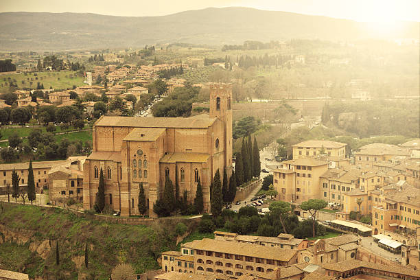 istock Church in Siena 135488710