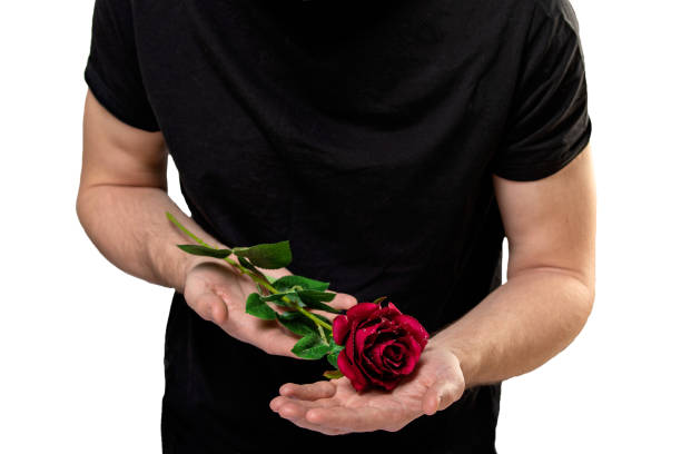 man with red rose in hands. valentine day love beautiful stock photo