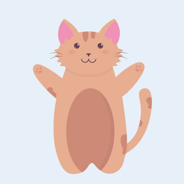 ilustrações de stock, clip art, desenhos animados e ícones de a cute cartoon adorable brown cat art - shrank