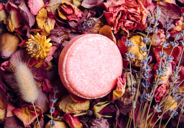 Pink color solid shampoo, conditioner bar on various dried flower petals, rose, lavender. Romantic vintage beauty set indoors.