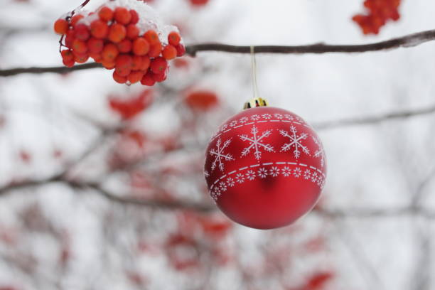 istock Christmas decoration on a snow-covered rowan branch. 1354892665
