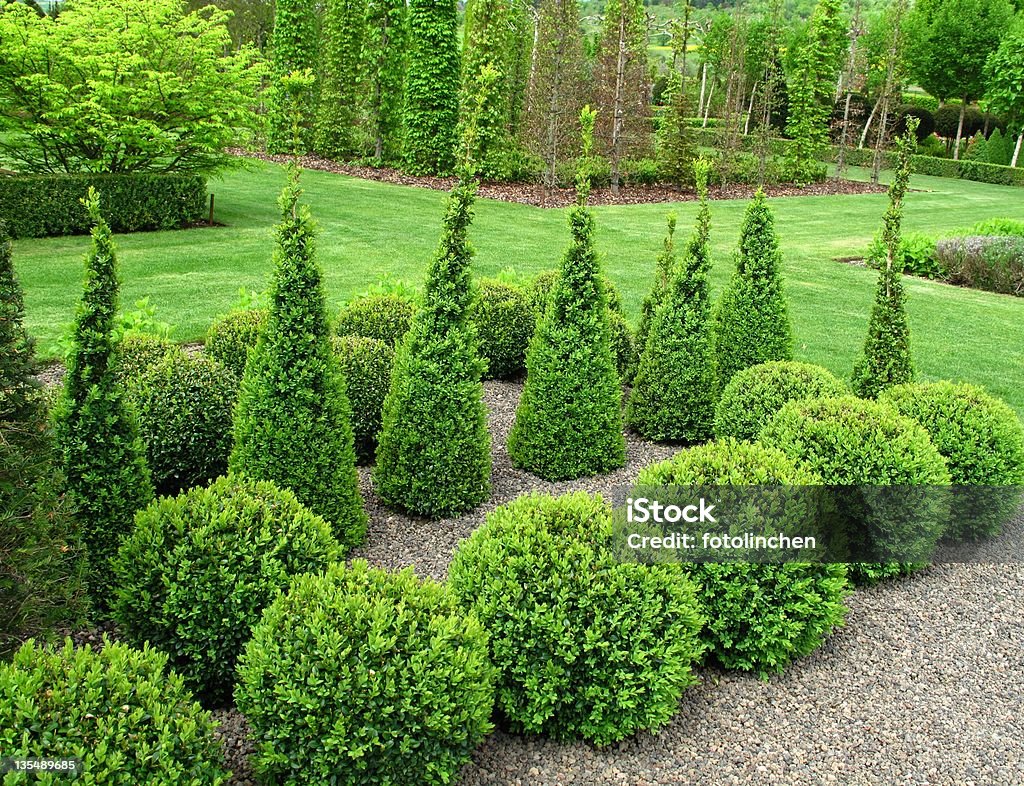 Buxus Bälle für den Verkauf - Lizenzfrei Hausgarten Stock-Foto