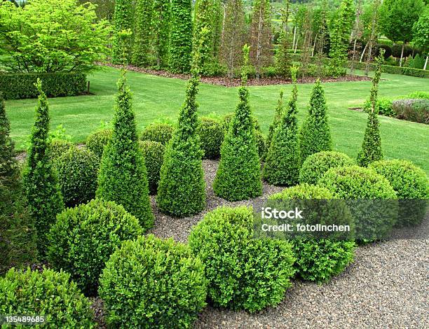 Buxus Bälle Für Den Verkauf Stockfoto und mehr Bilder von Hausgarten - Hausgarten, Buchsbaum, Beschnittene Hecke