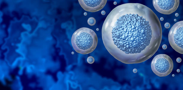 Stem Cells stock photo