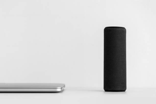 istock Mobile bluetooth speaker connected to the laptop 1354898717