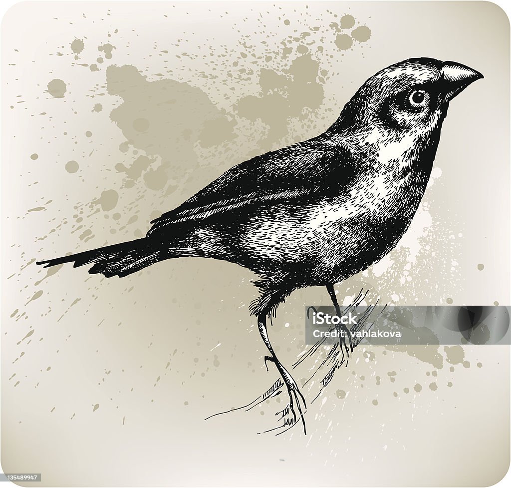 Pájaro sentado en una rama, dibujados a mano. Ilustración vectorial - arte vectorial de Blanco - Color libre de derechos