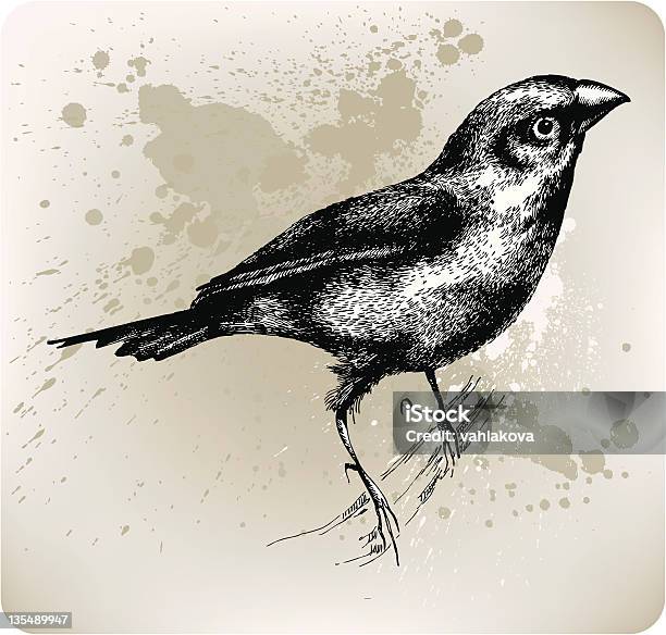 Ilustración de Pájaro Sentado En Una Rama Dibujados A Mano Ilustración Vectorial y más Vectores Libres de Derechos de Blanco - Color