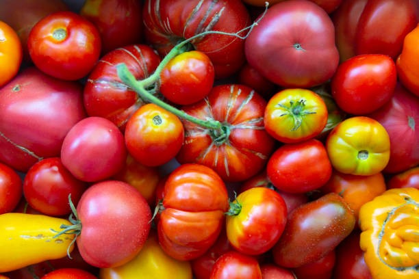 istock Fresh organic farm ripe tomato 1354901335