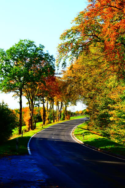 istock road curve in autumn forest 1354901340