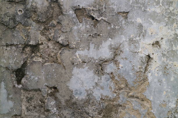 istock Cracked and moldy old walls photo 1354901591