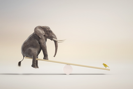 Elephant on balance with a canary.  Mindset and skill concept. This is a 3d render illustration