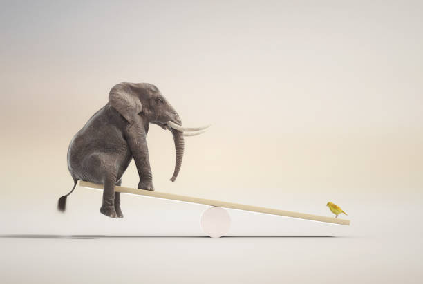 elefante em equilíbrio com um canário.  mindset e conceito de habilidade. esta é uma ilustração de renderização 3d - circus animal - fotografias e filmes do acervo