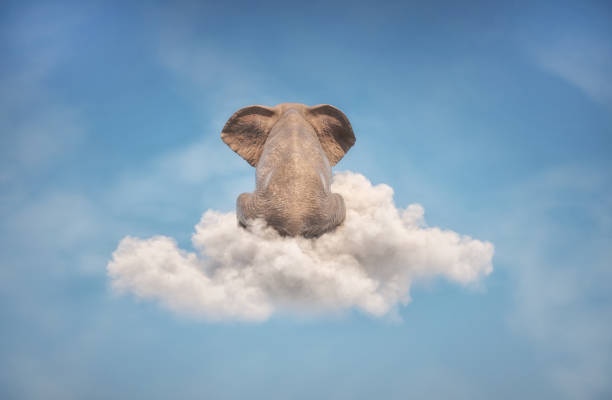 istock Elephant sitting on a cloud in the sky . Dreaming and aspirations concept. This is a 3d render illustration 1354903422