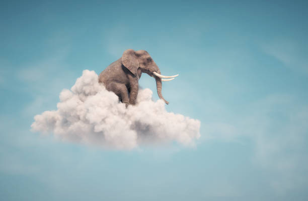 istock Elephant sitting on a cloud in the sky . Dreaming and aspirations concept . This is a 3d render illustration 1354903423