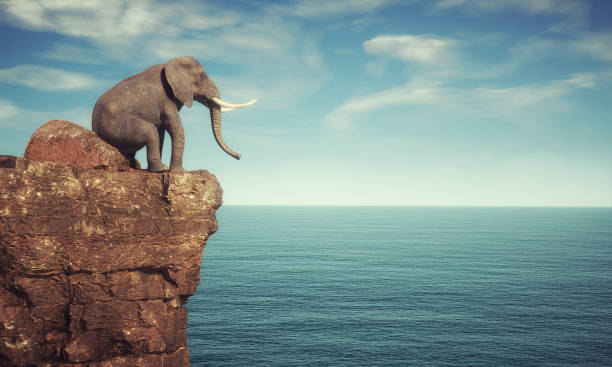 istock Elephant sitting on a rock cliff admiring the ocean. Aspirations concept.This is a 3d render illustration 1354903425