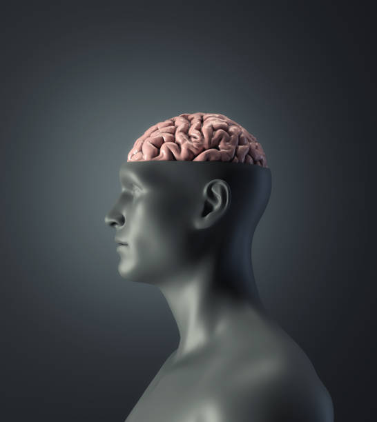 istock Man with half a head and a visible brain. Wisdom and smart thinking concept. This is a 3d render illustration 1354903440