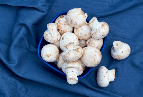 Flat lay view of white button mushrooms (Agaricus bisporus) on blue drapery background.