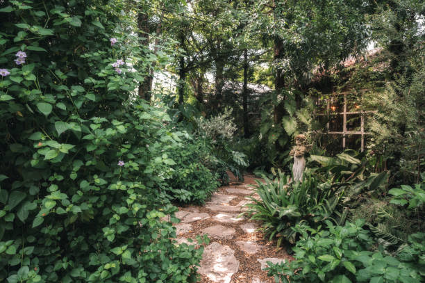 istock Shady ornamental garden with stone path 1354908652