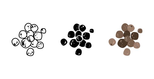 ilustrações, clipart, desenhos animados e ícones de ícone de argila expandida - pebble