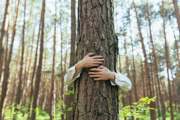 istock Woman hugged a tree with love in the forest 1354911471
