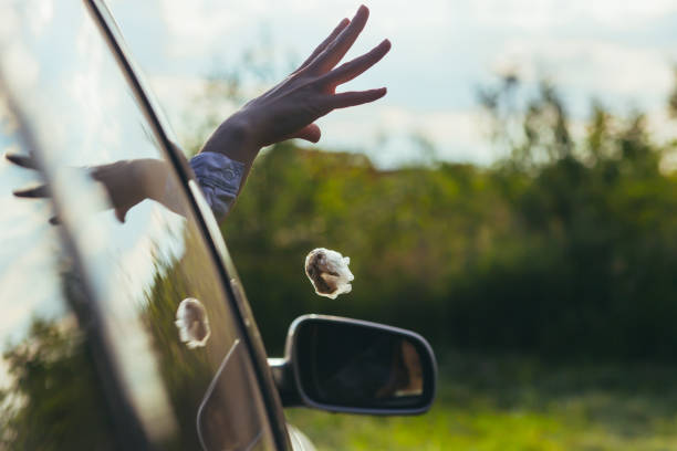 istock woman throws garbage out the car window 1354913066