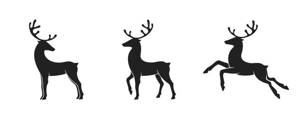 deer icon set. christmas and new year design elements. isolated vector image vector art illustration