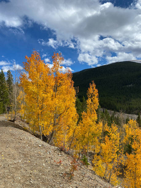 istock Breckenridge, Colorado 1354913199