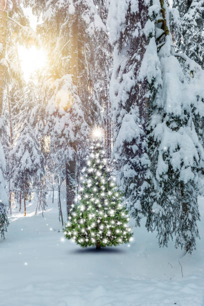istock Deep snowy fir forest with a Christmas tree 1354914219