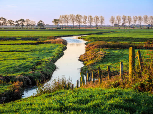 paysage de polders aux pays-bas - ditch photos et images de collection