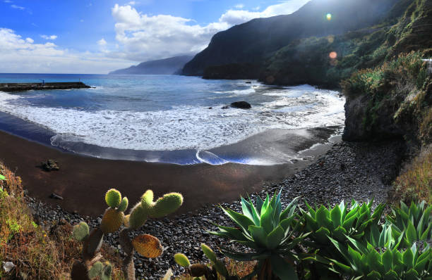 cenário de beleza da natureza da ilha da madeira. paisagem marítima, incrível praia de seixal no litoral norte famoso local para surfar - surf sand rock coastline - fotografias e filmes do acervo