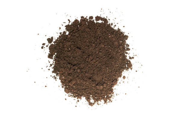 istock Black land for plant isolated on white background. 1354916729