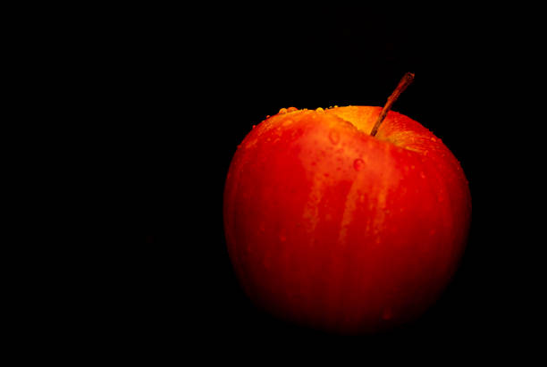 Red and yellow apple with droplets on it on against black background. Copy space.