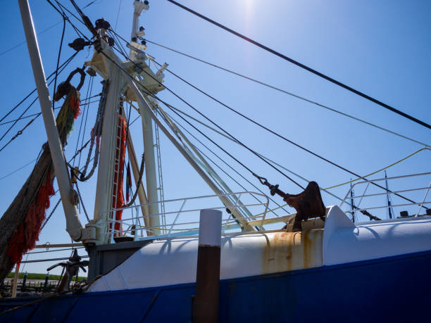 vissersboot, oudeschild, texel, mei 2014 - oudeschild imagens e fotografias de stock