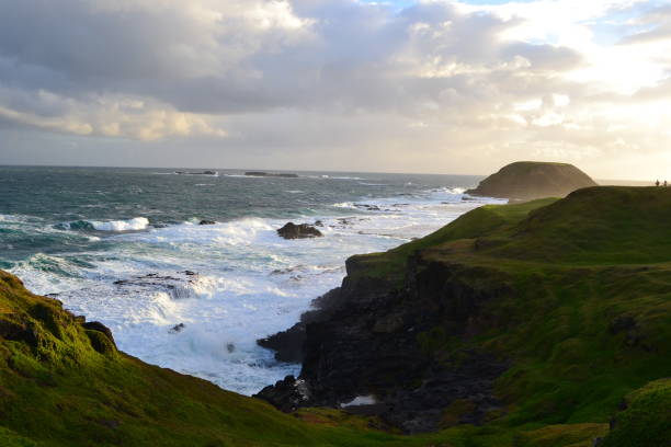istock Australia Philip Island 1354922181
