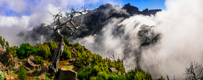 Madeira mountians walk (hike) . Trail for Pico Ruivo highest point in the island with stunning magic scenic views