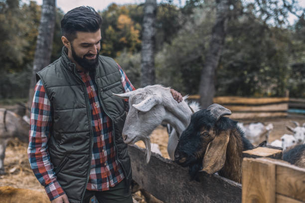 istock Farmer working at the organic farm 1354924692
