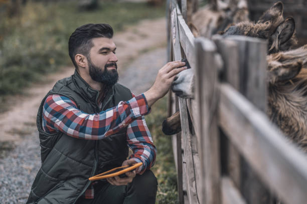 istock A bearded man with a tablet in hands on a cattle-farm 1354924774