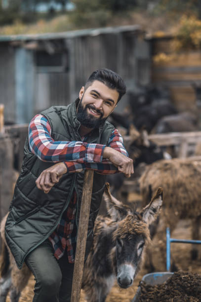 istock Dark-haired man resting after cleaning the cattle-pen 1354924829