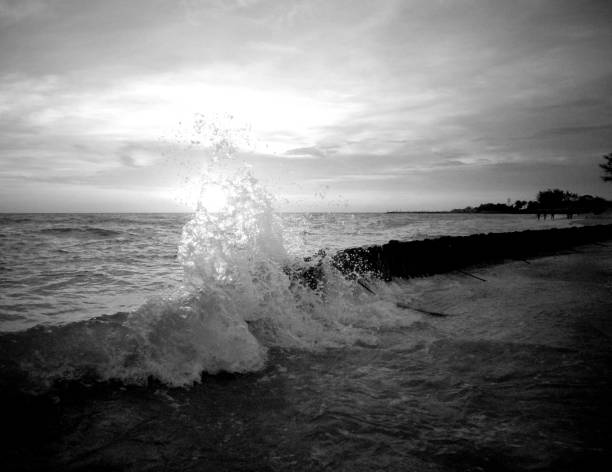 istock Moments from the Island 1354924850