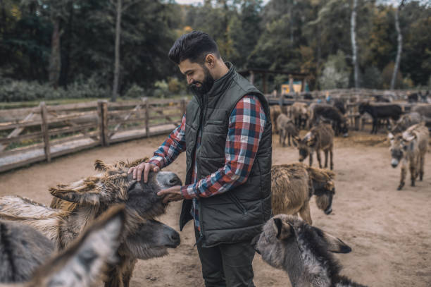 istock A framer communicating with animals in the stall 1354924942