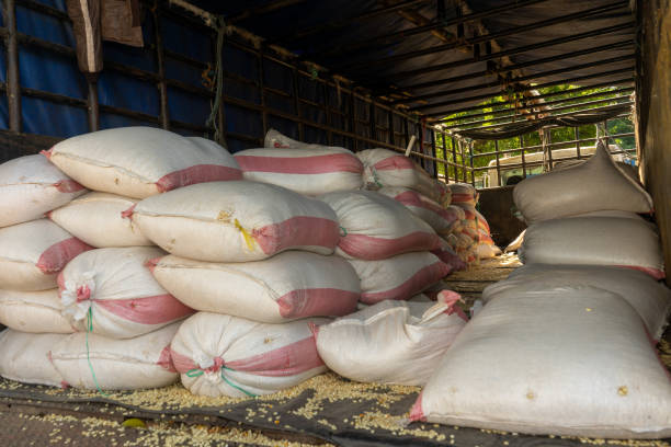 istock Sacks of corn loaded onto a truck 1354926593