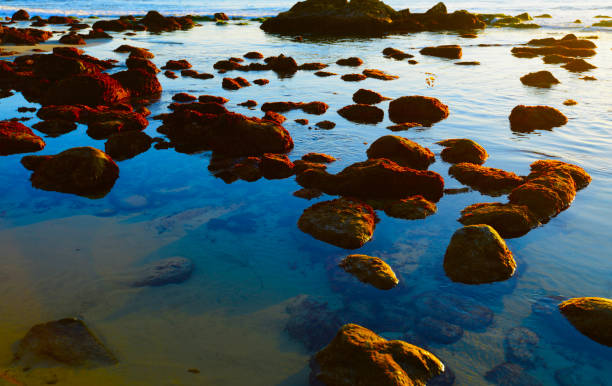 Orange County beach at sunset