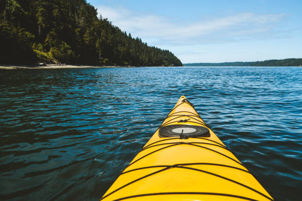 istock Kayaking in Summer in Gig Harbor Washington 1354934045