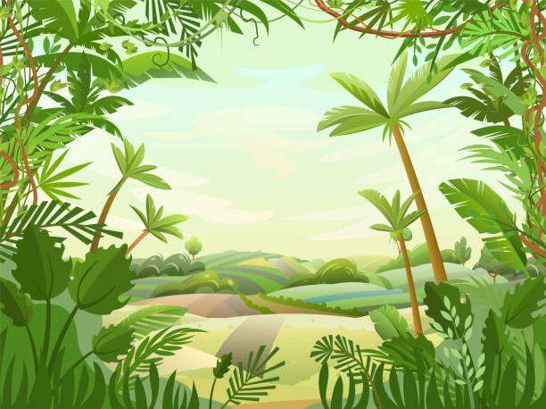 tolle landschaft in den tropen. gemüsegarten hügel und wiesen. die straße geht in die ferne. palmen und schönes sommerwetter. lustiger cartoon-stil. grüne landschaft. vektor. - fern nature leaf forest stock-grafiken, -clipart, -cartoons und -symbole