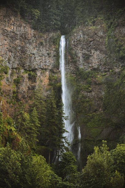 istock Multnomah Falls In Hood River, Oregon 1354934850