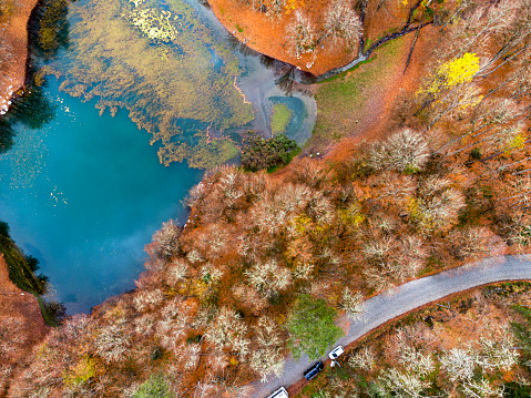 Lake and forest view from the top in autumn ( Yedigoller )