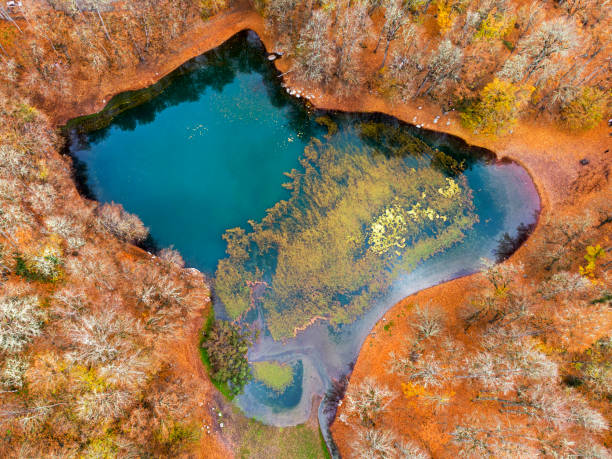 istock lake and forest view from the top in autumn 1354935557