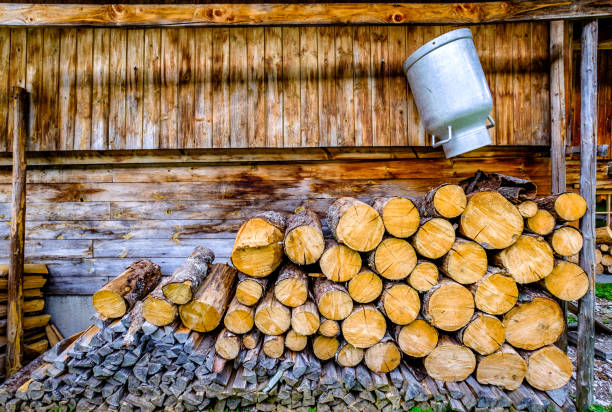 heap of firewood at a farm - photo