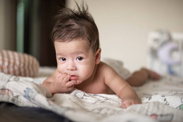 adorable three months old newborn baby boy lying on its belly - thumb sucking cute small lying down imagens e fotografias de stock