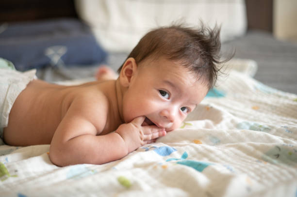 adorable three months old newborn baby boy lying on its belly - thumb sucking cute small lying down imagens e fotografias de stock